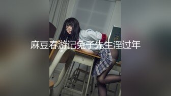 麻豆春游记兔子先生淫过年