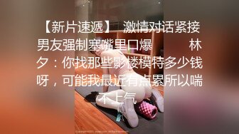 麻豆傳媒 MKYSV003 暑假補修性愛學分 我的春夢實現了 嵐湘庭