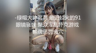 麻豆传媒-寂寞调酒站 单身酒吧调情性爱 纹身乱战 麻豆女神韩宝儿