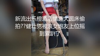 订制版母狗2