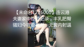 SWAG 無套中出搶匪闖入豪宅搞上忠心耿耿的混血女僕