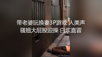 大眼气质正妹与男友的自拍小黄片流出