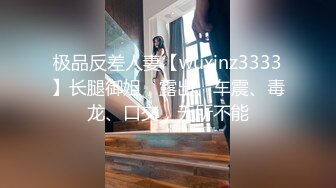 【麻豆传媒】 MDHT-0005《奇淫旅社》肉棒和小穴的交谊聚会-宋南伊