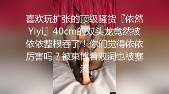 巨乳人妻10D油亮灰色连裤丝袜