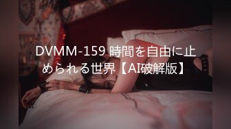 DVMM-159 時間を自由に止められる世界【AI破解版】