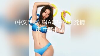 五月新流出厕拍大神潜入商场隔板女厕侧后偷拍顾客和服务员尿尿尿很急的健美裤靓女 (8)