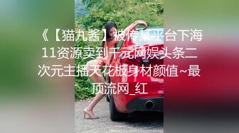 91十方哥風流段王爺之雙飛新娘伴娘