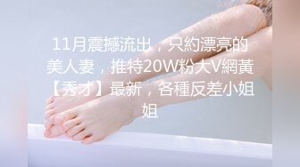 11月震撼流出，只約漂亮的美人妻，推特20W粉大V網黃【秀才】最新，各種反差小姐姐