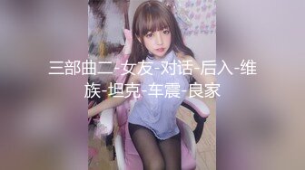 三部曲二-女友-对话-后入-维族-坦克-车震-良家