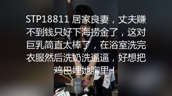 STP18811 居家良妻，丈夫赚不到钱只好下海捞金了，这对巨乳简直太棒了，在浴室洗完衣服然后洗奶洗逼逼，好想把鸡巴埋她胸里！