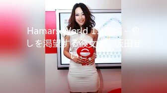 Hamars World 11 前编～愈しを渇望する彼女～ - 饭田せいこ。