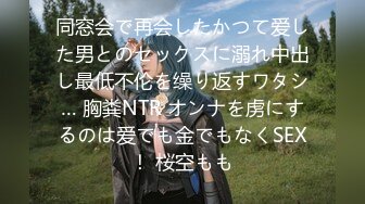 同窓会で再会したかつて爱した男とのセックスに溺れ中出し最低不伦を缲り返すワタシ… 胸粪NTR オンナを虏にするのは爱でも金でもなくSEX！ 桜空もも