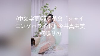 台湾怀旧A片 落翅女的黃昏