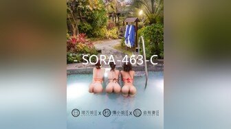 - SORA-463-C