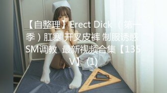 【自整理】Erect Dick （第一季）肛塞 开叉皮裤 制服诱惑 SM调教  最新视频合集【135V】 (1)