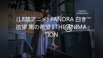 (18禁アニメ) PANDRA 白き欲望 黒の希望 I THE ANIMATION