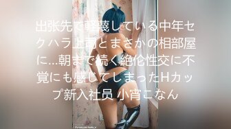 出张先で軽蔑している中年セクハラ上司とまさかの相部屋に…朝まで続く絶伦性交に不覚にも感じてしまったHカップ新入社员 小宵こなん