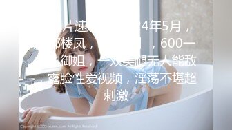 【新片速遞】  2024年5月，帝都楼凤，【婉宁】，600一炮的御姐，一双美腿无人能敌，露脸性爱视频，淫荡不堪超刺激