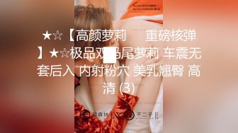 ★☆【高颜萝莉❤️重磅核弹】★☆极品双马尾萝莉 车震无套后入 内射粉穴 美乳翘臀 高清 (3)