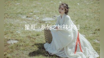 星哥--系列之丝袜少妇