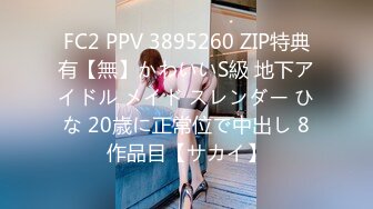 FC2 PPV 3895260 ZIP特典有【無】かわいいS級 地下アイドル メイド スレンダー ひな 20歳に正常位で中出し 8作品目【サカイ】