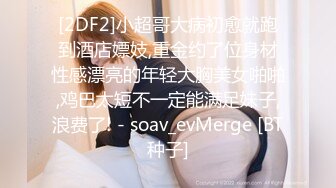 【重磅核弹】巨乳反差婊 咩了个咩 VIP群福利 SM裸舞写真合集