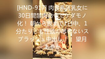 [HND-917] 肉食系巨乳女に30日間禁肉命令でケダモノ化！ 朝から晩まで1日中、1分たりとも性欲の尽きないスプラッシュ中出し！！ 望月あやか