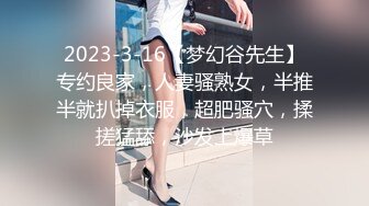 极品少妇小小少妇性感小骚货，喜欢被艹，骑马摇曳，后入艹母狗，招式繁多，叫声淫荡！