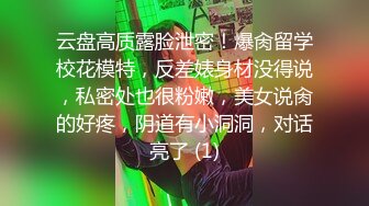 【AI换脸视频】迪丽热巴 的肛门PARTY